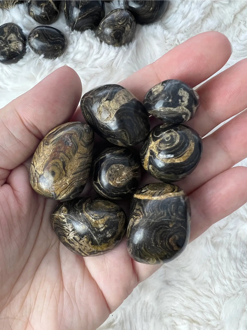 Stromatolite Tumble