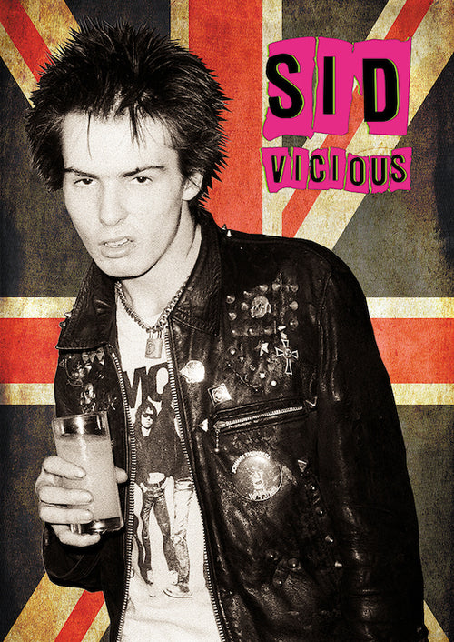 Sex Pistols Band Poster Sid Vicious
