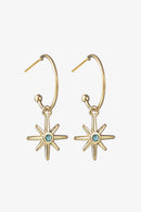 Stainless Steel C-Hoop Drop Earrings